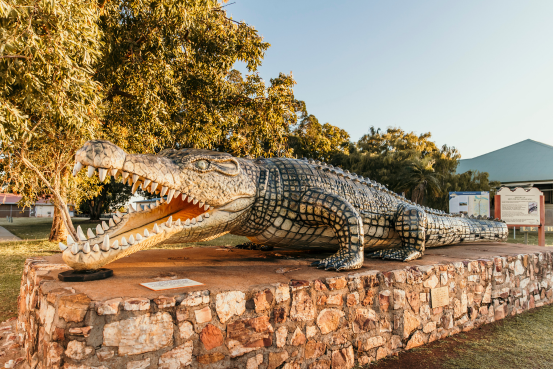 Krys the croc - Town walk