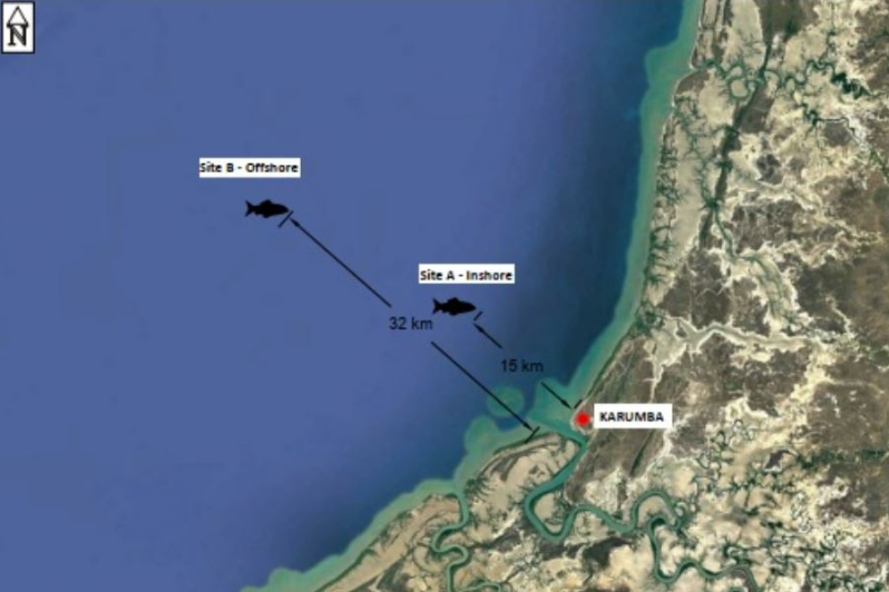 Reef deployment locations