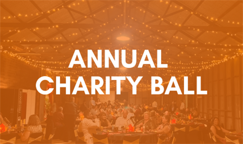 Charity Ball Icon.png