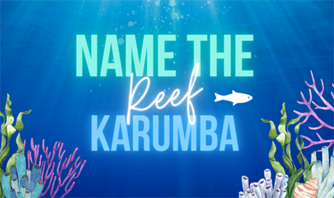Name-the-Reef-Icon.png