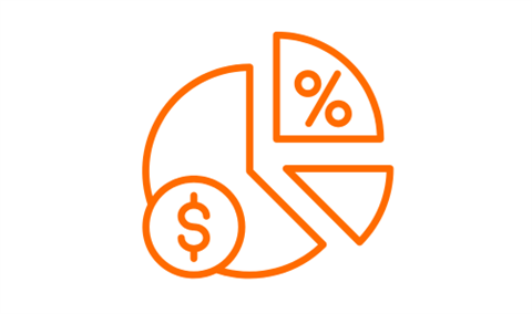 Budget Icon